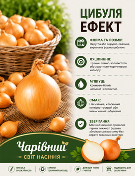 Цибуля Ефект1кг 3948747 фото