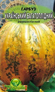 Гарбуз Український багатоплідний 68552131 фото