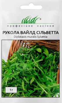 Рукола Вайлд Сільвєтта багаторічна 756787 фото