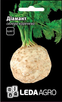 Селера коренева Діамант 3546646 фото