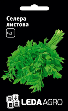 Селера листова 4630 фото