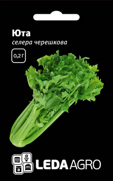 Селера черешкова Юта 0122 фото