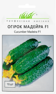 Огірок Мадейра F1 0908 фото