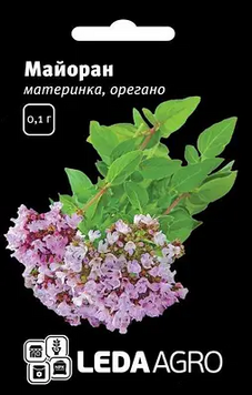Майоран Орегано 0980 фото