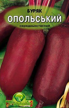 Буряк Опольський  65463513 фото