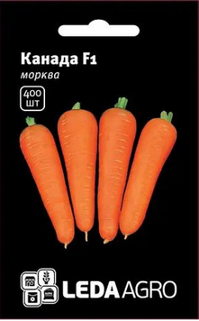 Морква Канада F1 23525 фото