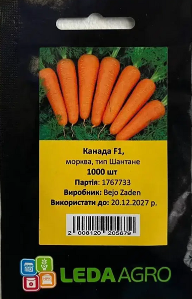 Морква Канада F1 23525 фото