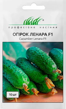 Огірок Ленара F1 16540  фото